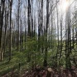 Land at East Side of Stretton Road, Clay Cross, Chesterfield — photo 4 of 5