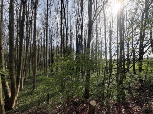 Land at East Side of Stretton Road, Clay Cross, Chesterfield — photo 4 of 5
